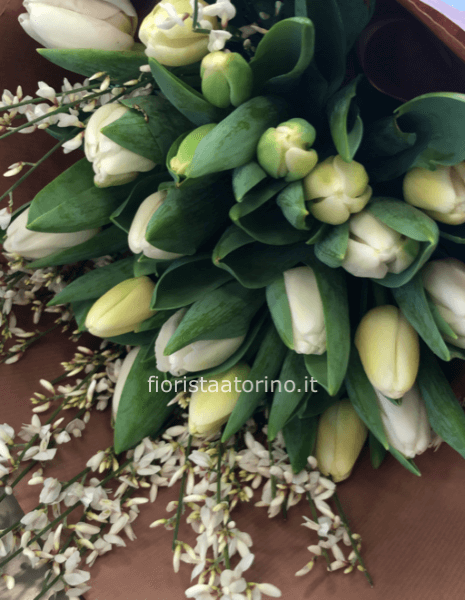 mazzo di tulipani